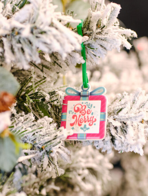 Christmas dECOration Present