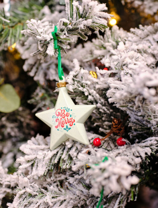 Christmas dECOration Plus Star