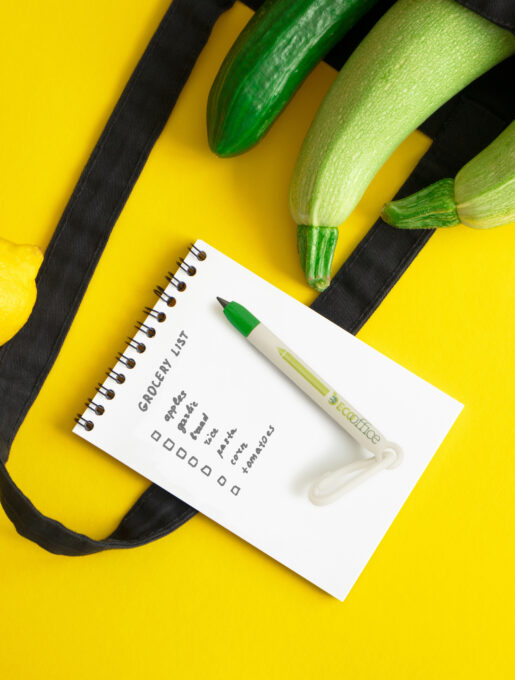 EcoScribe - Mini