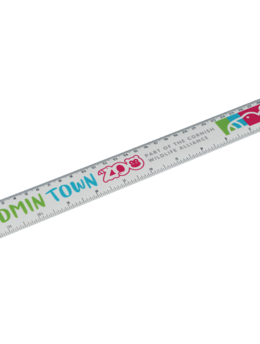 30cm Ruler